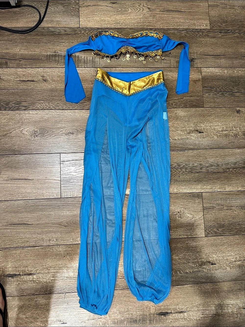 Nwot princess jasmine costume